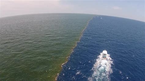 Golfo Do Mexico Zona Morta Dos Tormentas Se Dirigen Simultáneamente A