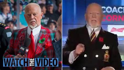 hockey commentator don cherry fired for calling immigrants you people in live tv rant the sun
