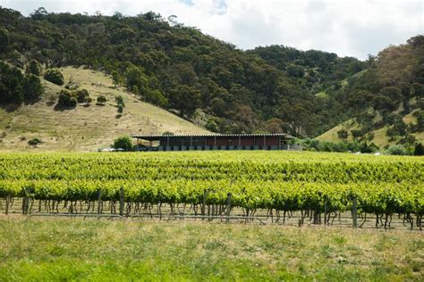 New South Wales Wine Region Guide Terroir Essentials And Fast Facts