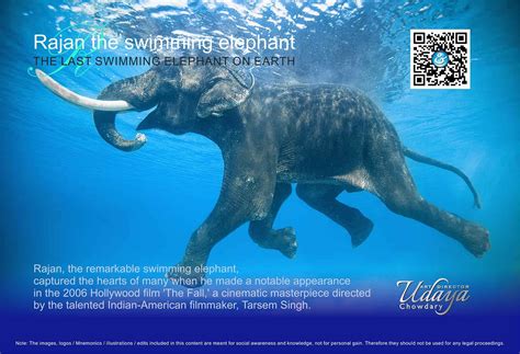 Rajan The Swimming Elephant Underwater By Udayachowdary Art Director