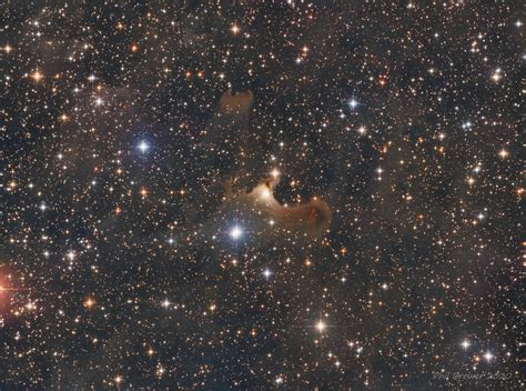 Vdb 141 Ghost Nebula In Cepheus Lrgb Rastrophotography
