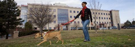 Faq Cornell University College Of Veterinary Medicine