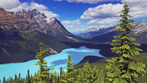 Banff National Park Canada Moraine Lake Landscape Blue Lake Crude Rocky