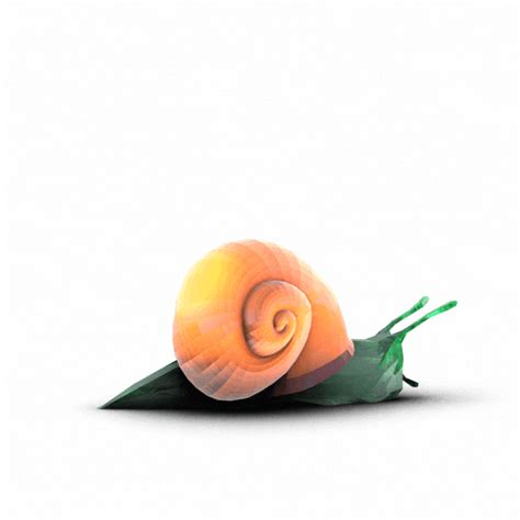 Turbo Snail Gifs Find Share On Giphy