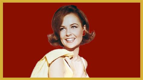 Shelley Fabares Sexy Rare Photos And Unknown Trivia Facts The Donna