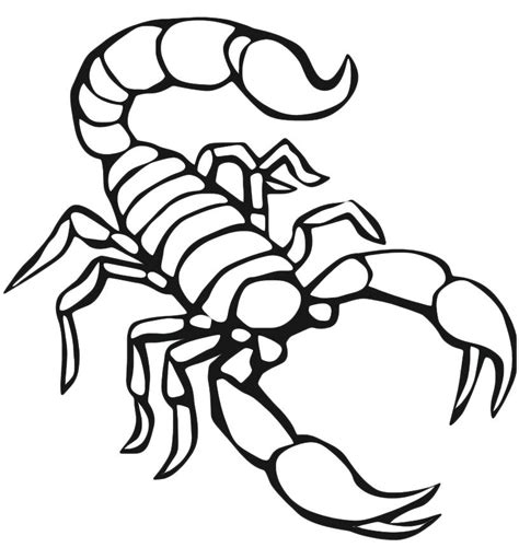 Scorpion Coloring Pages At Free Printable Colorings