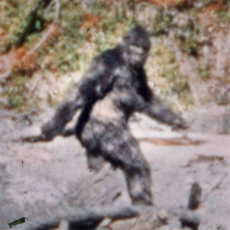 New Bigfoot Sighting In Fayette County Pa The Paraterrestrial Files