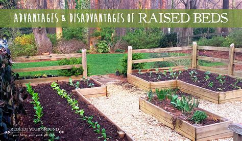 Advantages And Disadvantages Of Raised Beds Redeem Your Ground