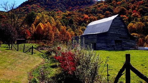 Seven Sensational Spots To See The Fall Leaves Visit Now Autumn Nc