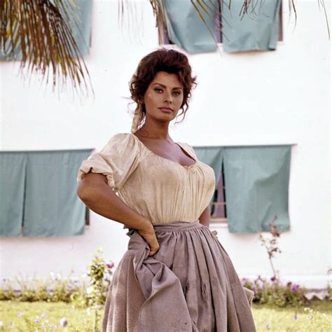 Sophia loren was born as sofia scicolone in a hospital charity ward in rome, italy, on september 20, 1934. The Story of Sophia Loren: A Hollywood Star Who Loved Only ...