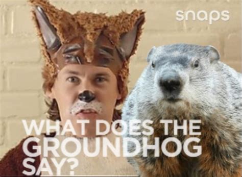 Groundhogs Day Super Bowl Weekend Groundhog Day Snaps Let It Be Creative