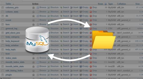 How To Import And Export The Mysql Database With Phpmyadmin Min Web