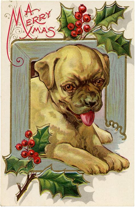 Christmas cards, photo cards & more. Vintage Christmas Dog Download! - The Graphics Fairy