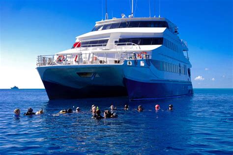 Aqua Cat Cruises Dive Liveaboard Review By Leonardk Bluewater Dive Travel