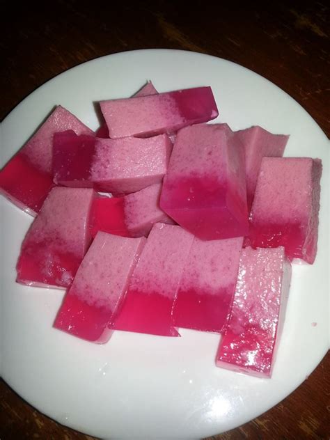 Cara Masak Agar Agar Santan Belajar Masak