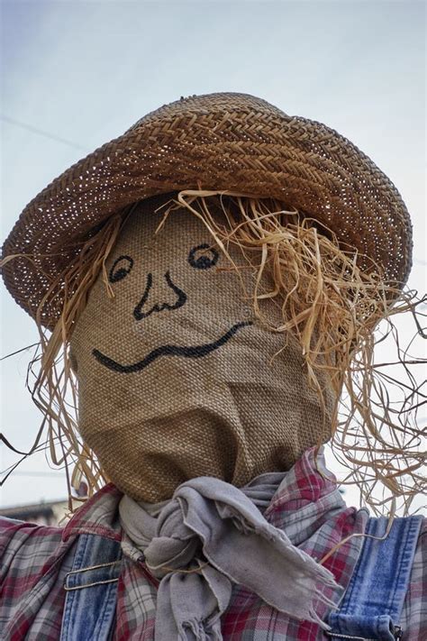 Funny Scarecrow Wearing Sunglasses Stock Image Image Of Bright Rural