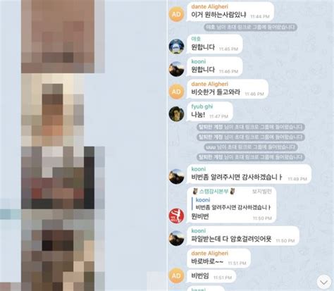 [n번방 추적기①] 텔레그램에 강간노예들이 있다 국민일보