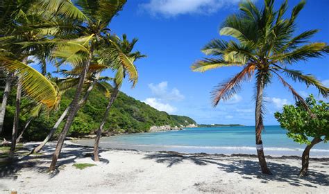 Consultez les offres d'emploi d'edf dans l'archipel guadeloupe. Yachtcharter Guadeloupe - Segeln wie Gott in Frankreich
