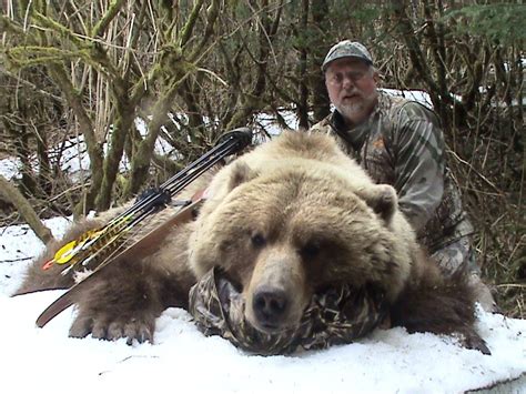 10 Day Spring Brown Bear Hunt In Alaska For 1 Hunter