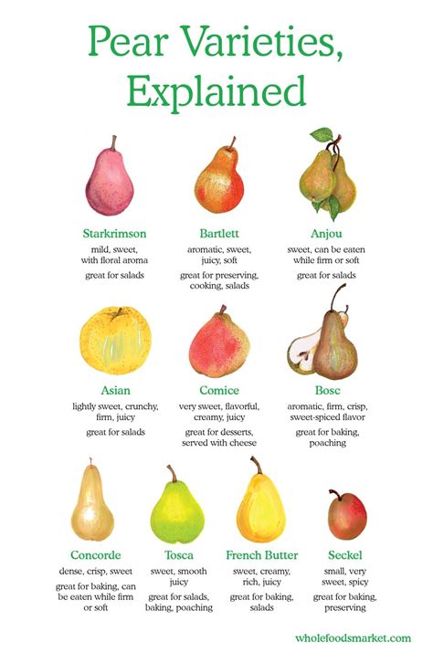 Many customers ask for this pear in preference to other pears grown at our orchard. Making the Most of Pear Season | Food, Whole food recipes ...