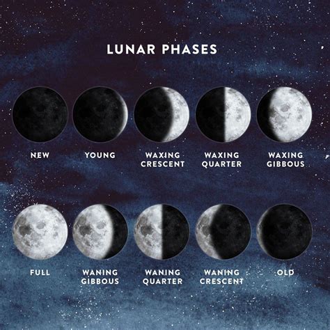 lunar phase poster indigo lunar phase current moon phase moon phases