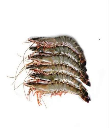 Freshwater Prawns Tiger Prawns Vennamei Shrimps White Prawns Hoso P D