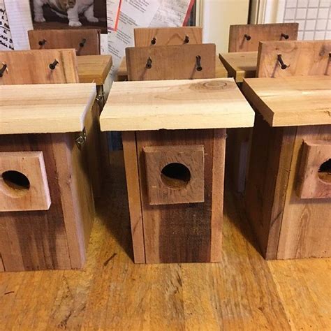 1 Robins Doves Cardinals Nesting Shelve Platform Handmade By Etsy