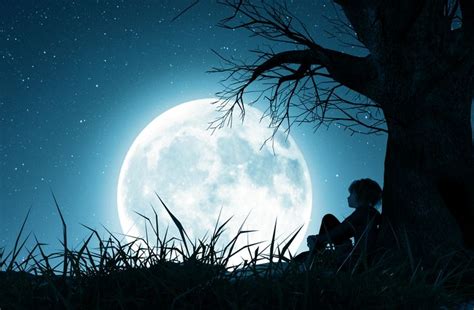 Lonely Girl Sitting Alone Under The Tree And Looking To The Moon3d