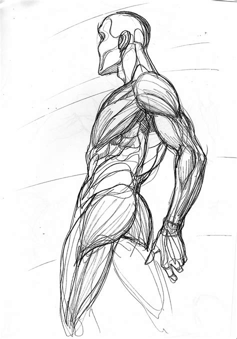Human Anatomy Sketch ~ 18 Human Anatomy Drawing Ideas And Pose References Bodewasude
