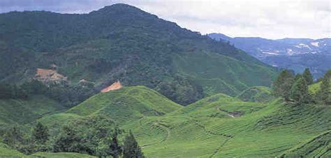 Peninsular malaysia is home to three terrestrial ecoregions. Malaysia's Geography (peninsula, climate, Sabah, Sarawak)