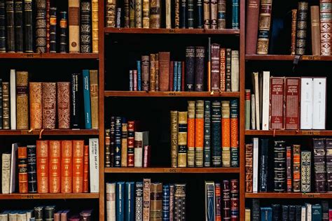 Law Assorted Title Of Books Piled In The Shelves Library Image Free Photo