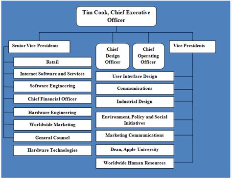 Organizational Chart Definition Examples And Templates Venngage