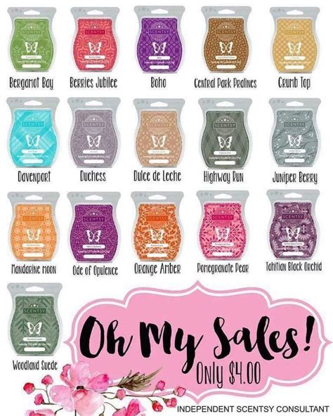 Did You Check Out Our Great Sales Selection Https Mickymcrae Scentsy