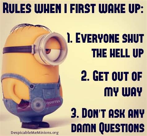 Funny Wake Up Quotes Meme Image 21 Quotesbae