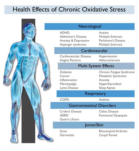 Oxidative Stress And Stress Best In Corporate Health