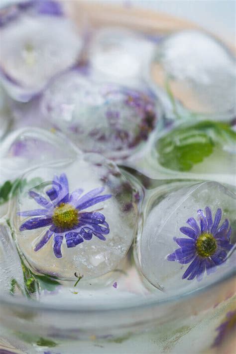 Flower Ice Cubes Recipe
