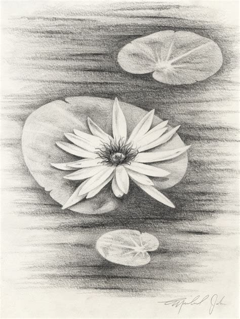 The humble pencil is a ubiquitous and versatile drawing tool, and it's sometimes massively for more advice, explore our essential pencil drawing techniques. 35 Easy Pencil Drawings Of Flowers For Inspiration - Buzz Hippy