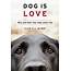 “Dog Is Love” A Great Treat For Those Who Love Their Canine Companions 