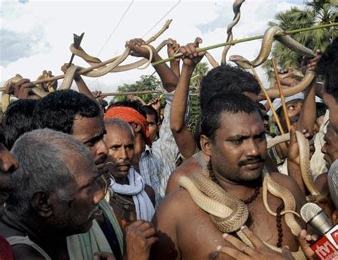 On the day of nag panchami, wrestling/dangal is held in. Why do we celebrate Nag Panchami? - World Festivals