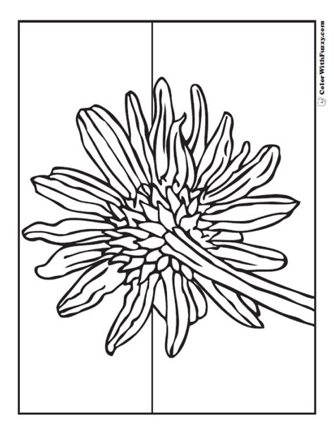 Free printable zentangle sunflower coloring pages for adults and teens. Sunflower Coloring Page: 14+ PDF Printables