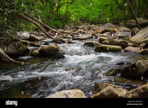 Great Smoky Mountains In The Spring Rushing River Surrounded By Lush