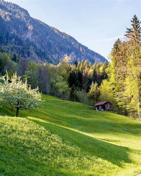 Switzerland Reach Me Laydown Tranquility Goes Switzerland Golf