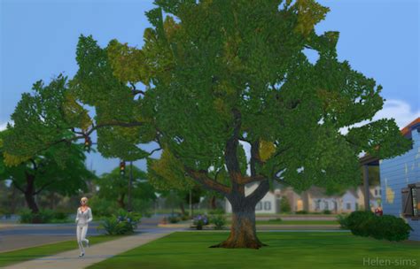 Helen Sims Ts4 Tree Oak