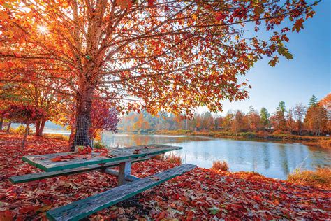 10 Easy Things To Do Outdoors In Autumn