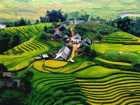 Ruộng Bậc Thang Sapa Travelnews Thế Giới Combo