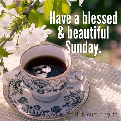 Have A Blessed And Beautiful Sunday Pictures Photos And Images For