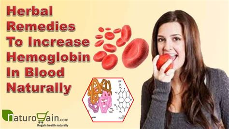 Ppt Herbal Remedies To Increase Hemoglobin In Blood Naturally