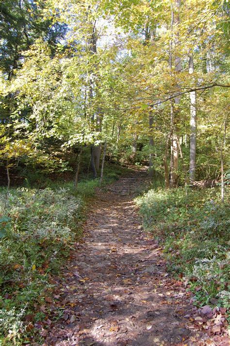 Life as we Live it: Hiking in John Bryan State Park