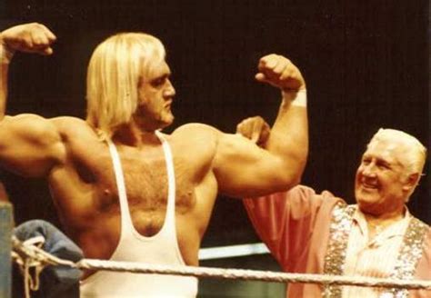 Hulk Hogan’s Wwe Debut Online World Of Wrestling