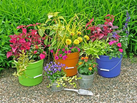 Upcycled Container Gardens Hgtv